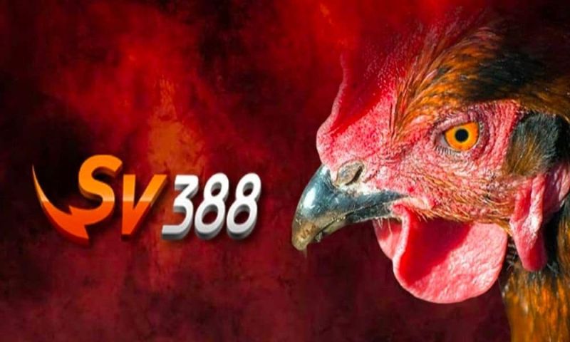 Lợi thế giúp Sv388 để lại ấn tượng sâu sắc